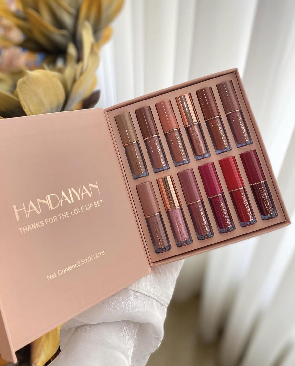 Handaiyan 12pcs Lipstick & Lipgloss Set (V1)